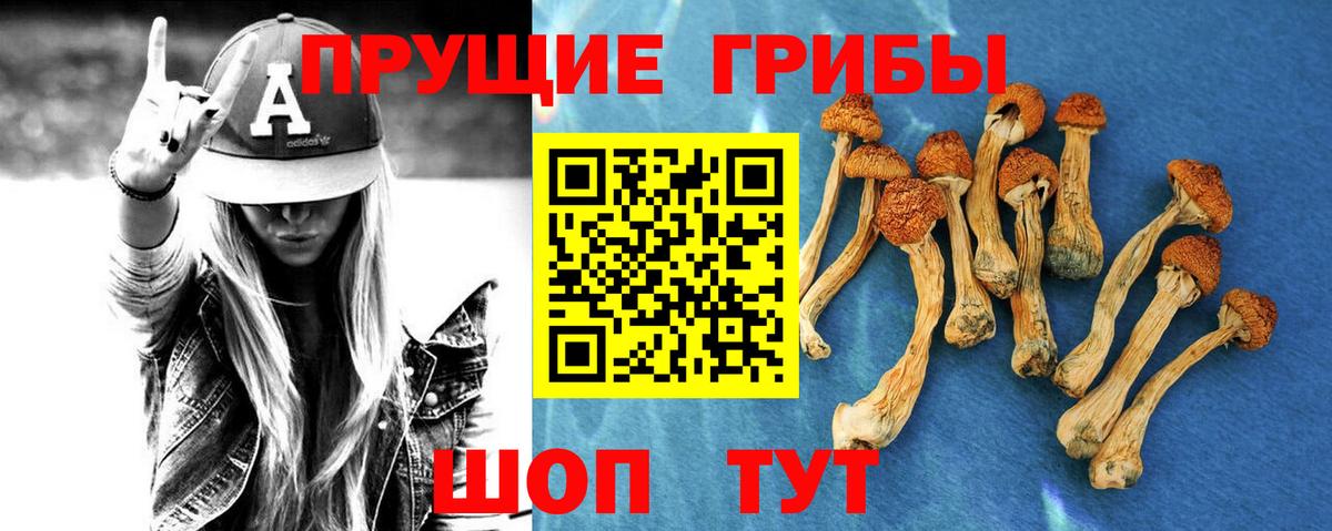 Галлюциногенные грибы ЛСД  Вход с VPN  Батайск 